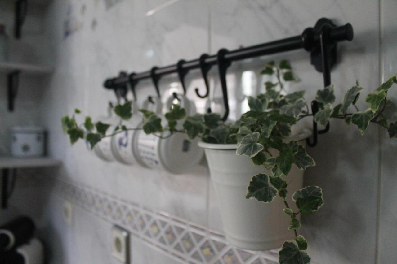 Hedera Daire Candeleda Dış mekan fotoğraf